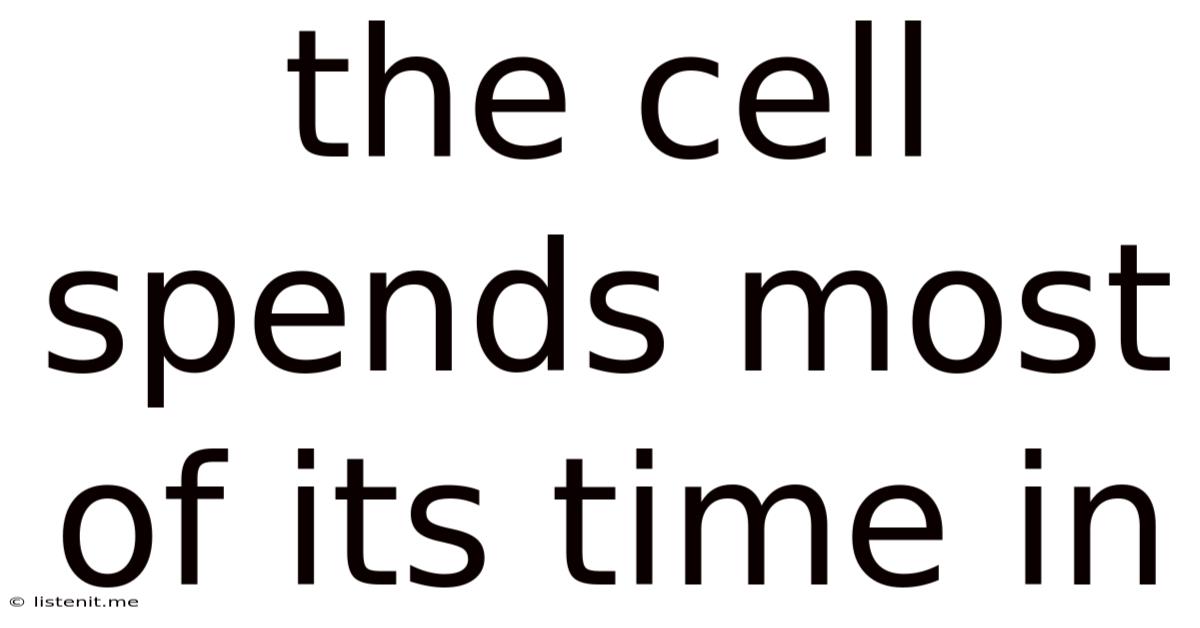 The Cell Spends Most Of Its Time In
