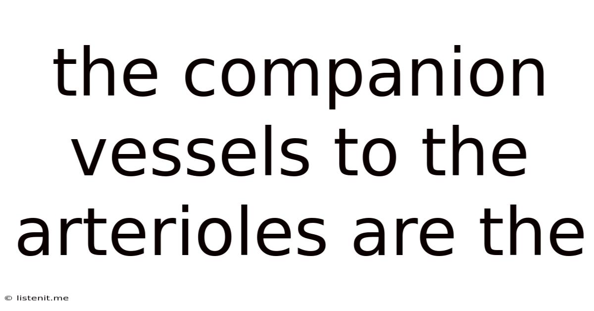 The Companion Vessels To The Arterioles Are The