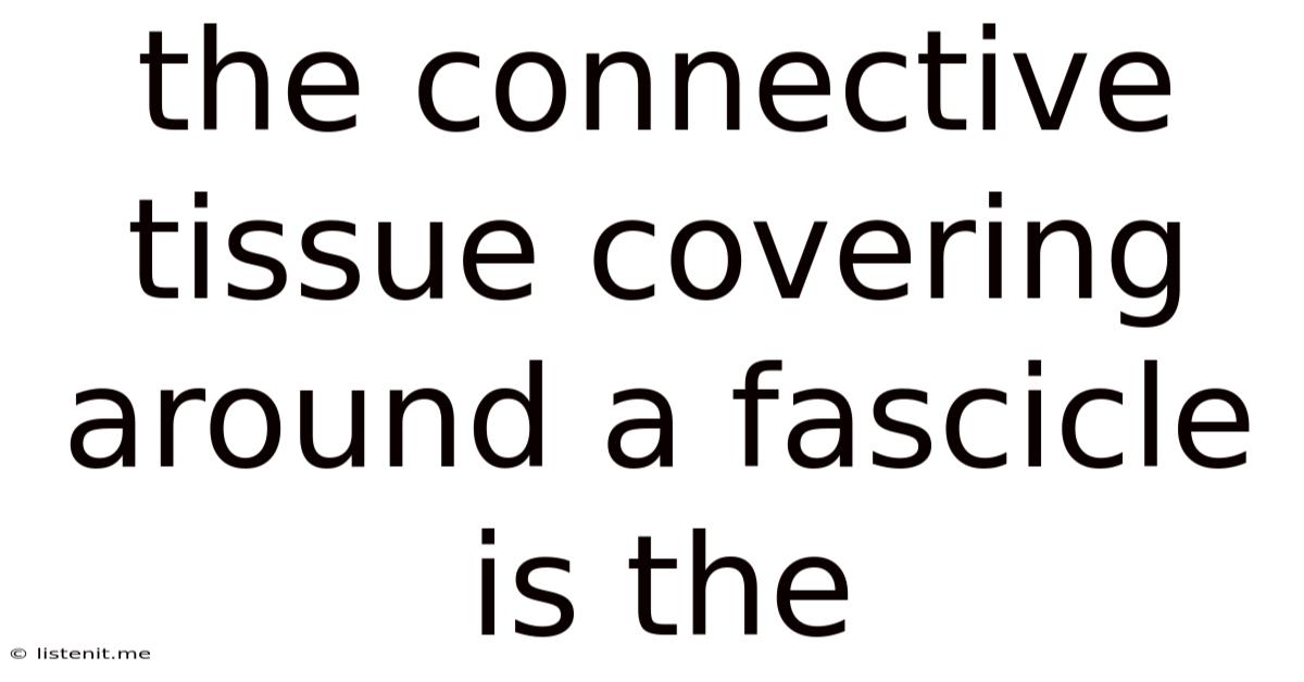 The Connective Tissue Covering Around A Fascicle Is The
