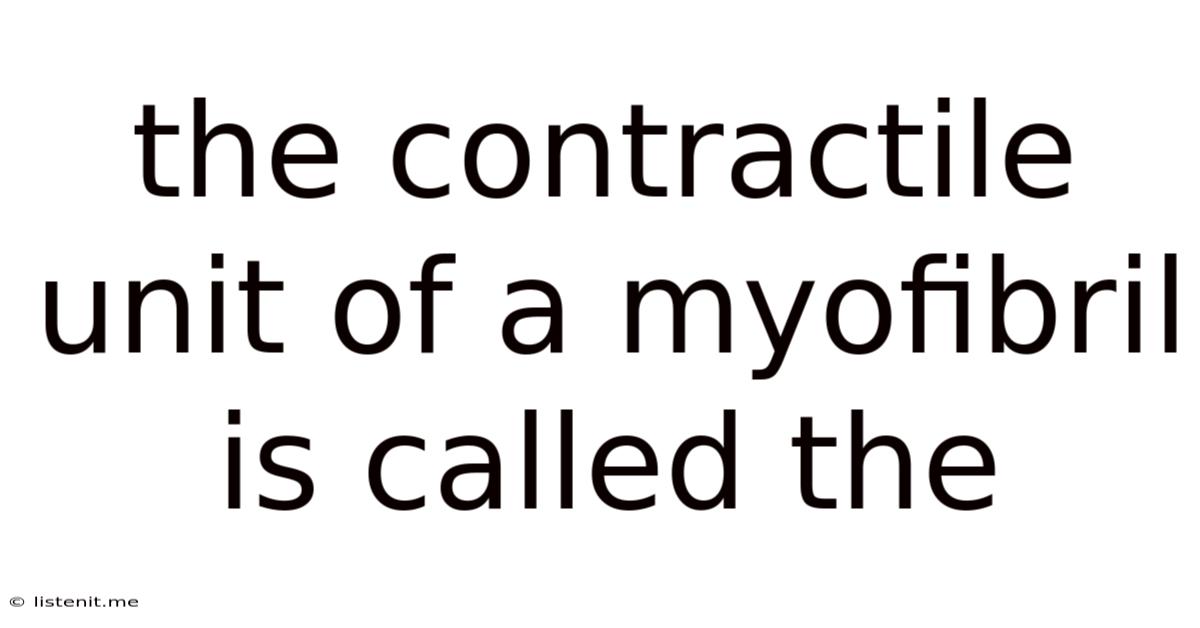 The Contractile Unit Of A Myofibril Is Called The
