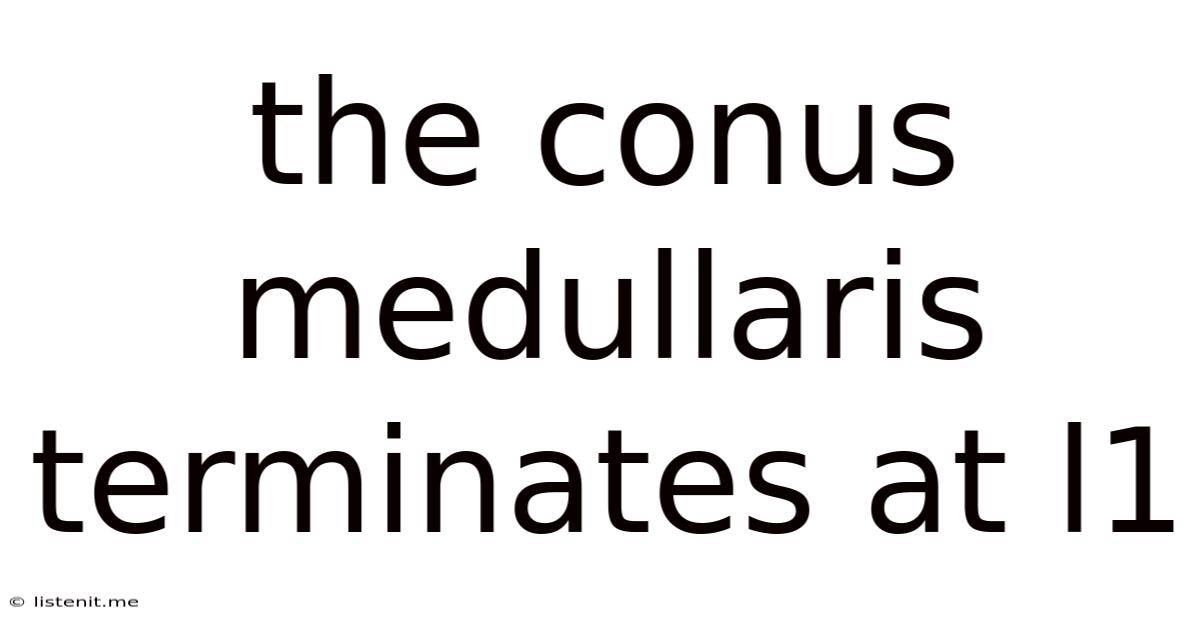 The Conus Medullaris Terminates At L1
