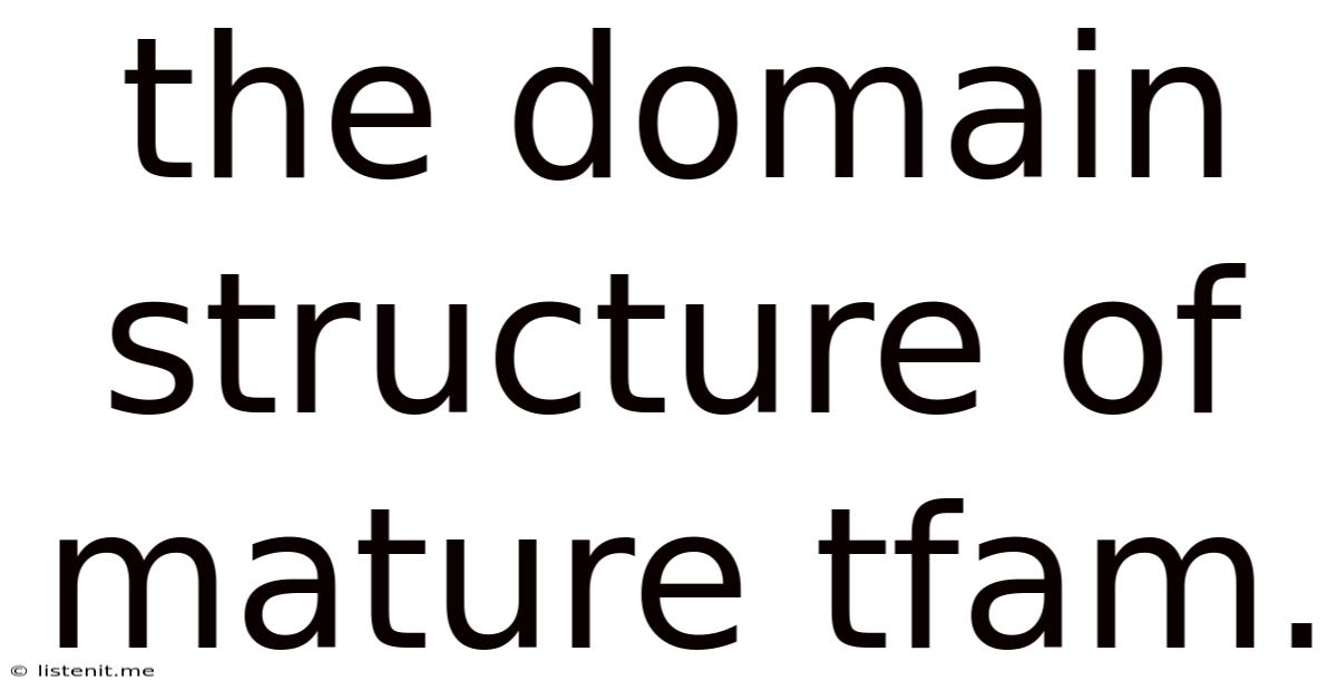 The Domain Structure Of Mature Tfam.