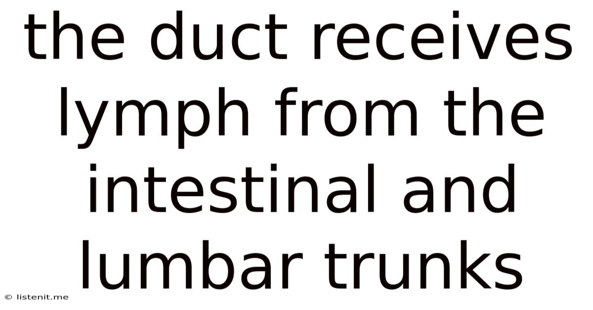 The Duct Receives Lymph From The Intestinal And Lumbar Trunks