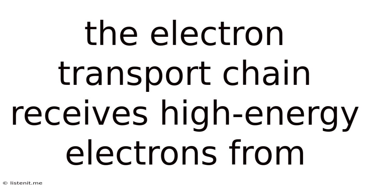 The Electron Transport Chain Receives High-energy Electrons From