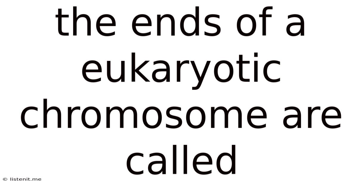 The Ends Of A Eukaryotic Chromosome Are Called