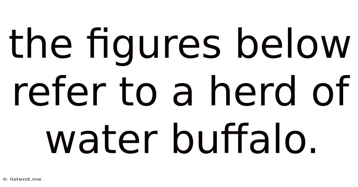 The Figures Below Refer To A Herd Of Water Buffalo.