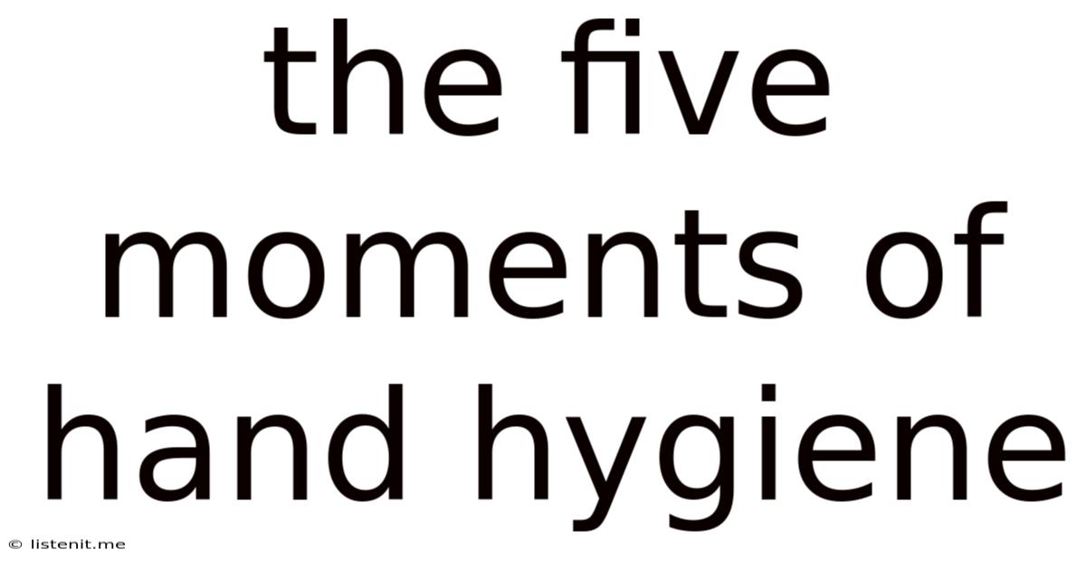 The Five Moments Of Hand Hygiene