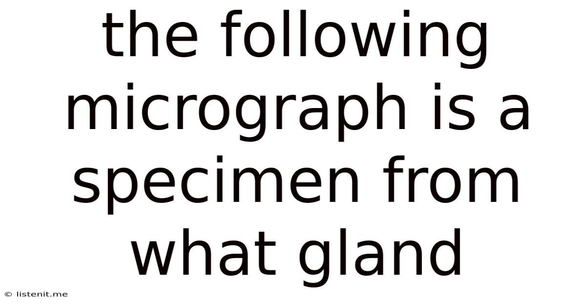 The Following Micrograph Is A Specimen From What Gland