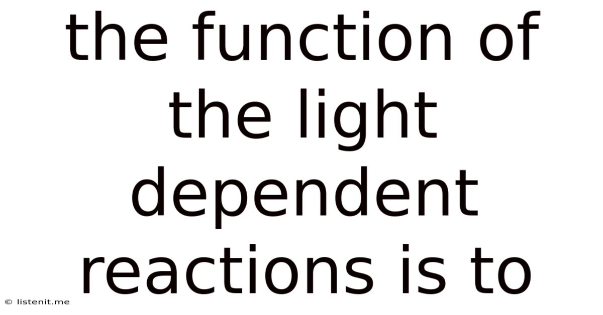 The Function Of The Light Dependent Reactions Is To