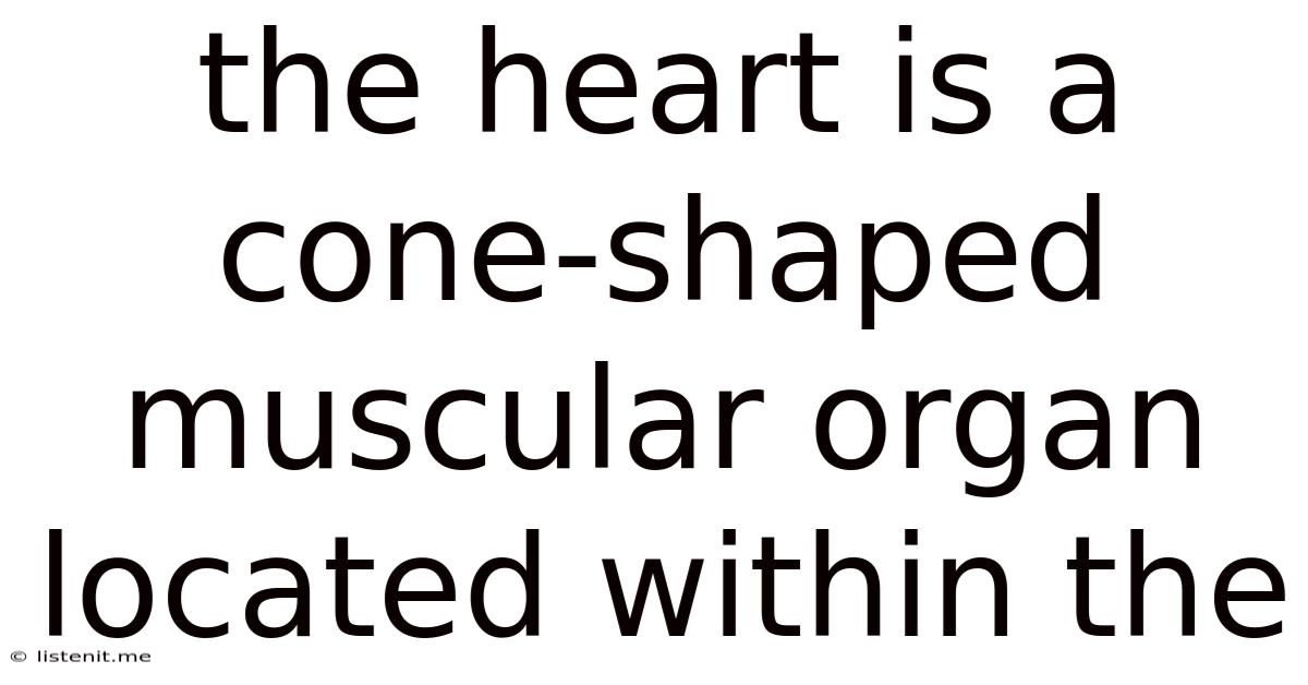 The Heart Is A Cone-shaped Muscular Organ Located Within The