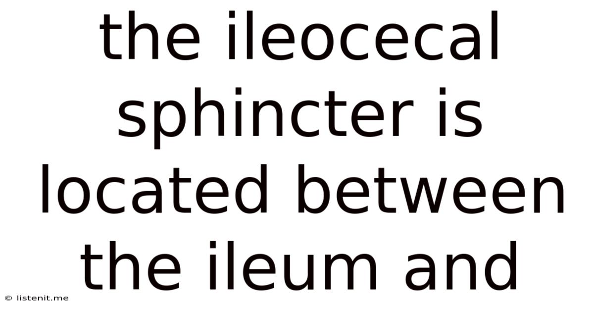 The Ileocecal Sphincter Is Located Between The Ileum And