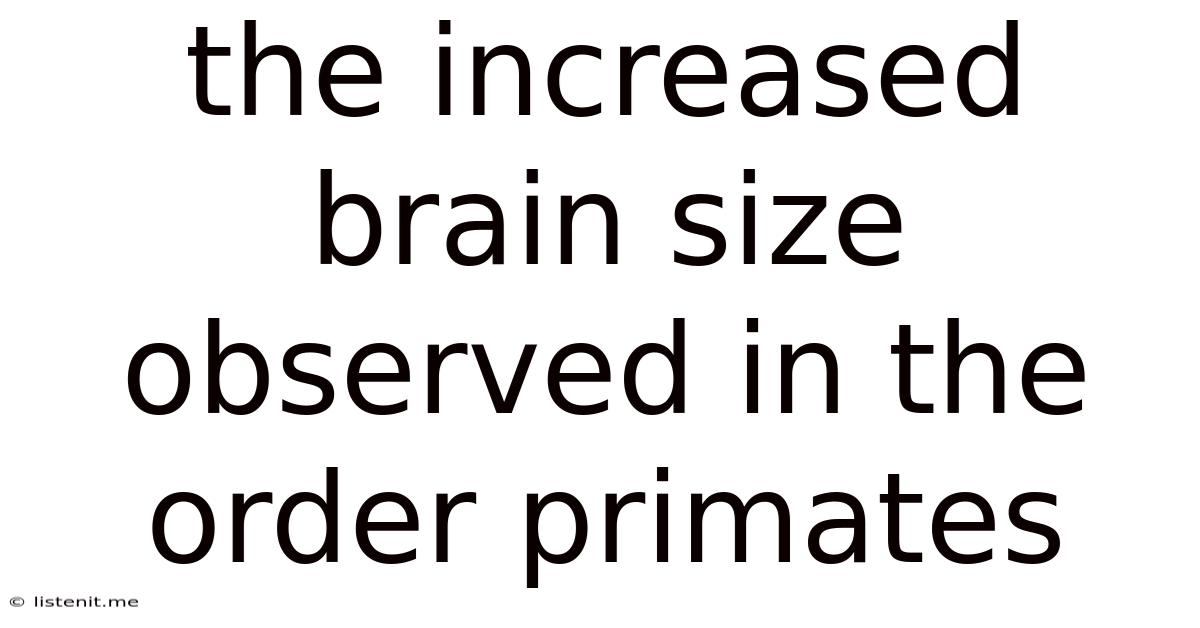 The Increased Brain Size Observed In The Order Primates