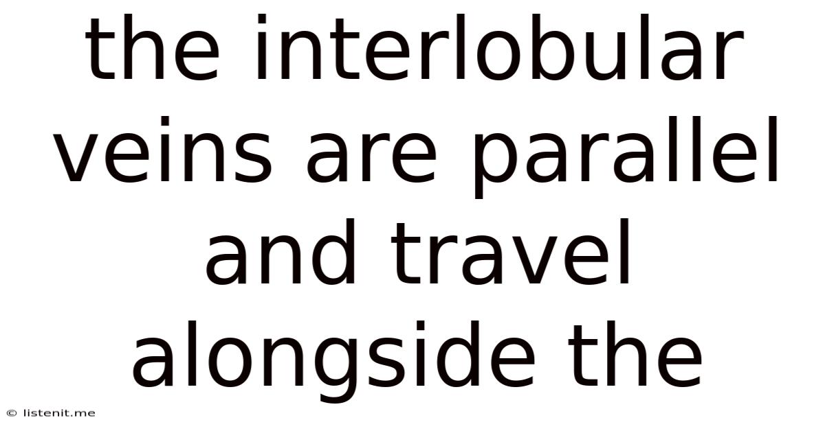 The Interlobular Veins Are Parallel And Travel Alongside The