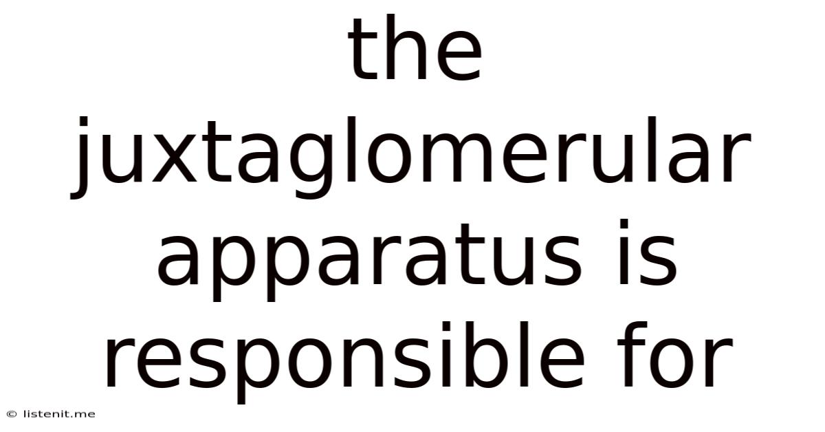 The Juxtaglomerular Apparatus Is Responsible For