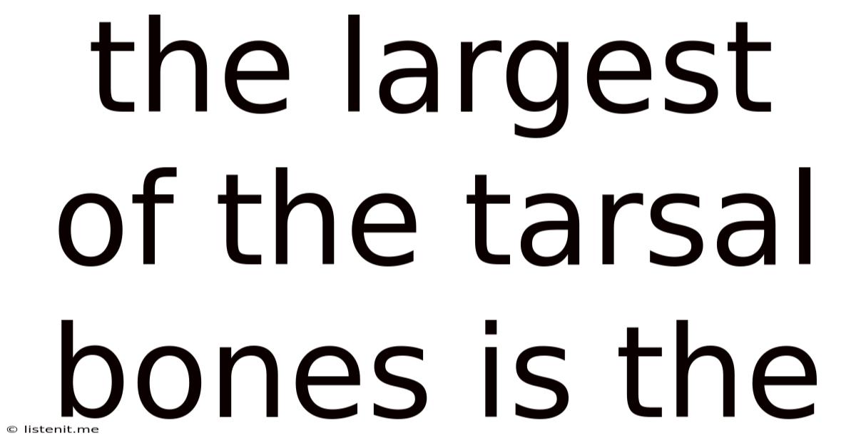 The Largest Of The Tarsal Bones Is The