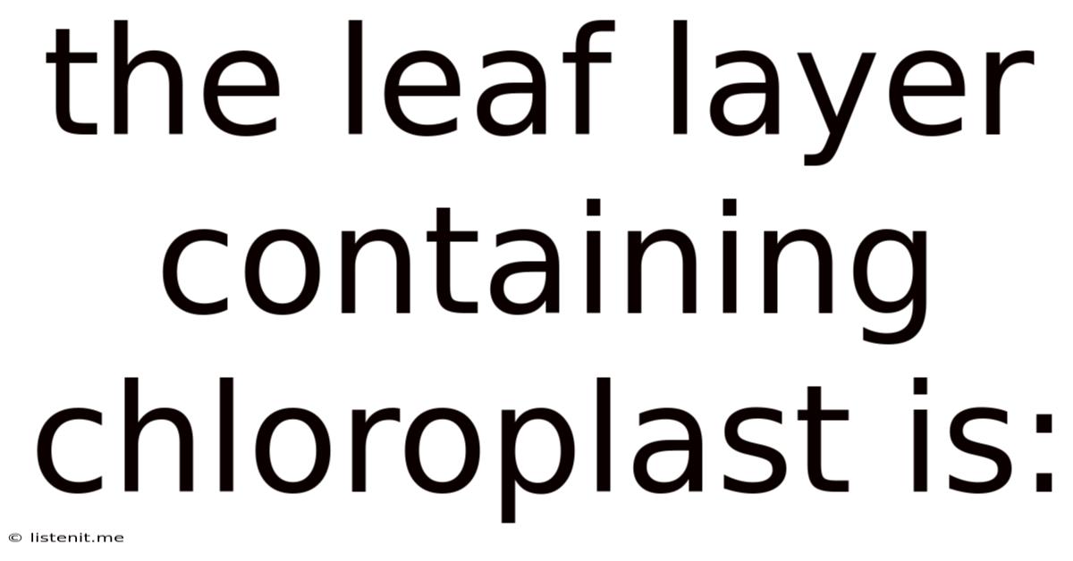 The Leaf Layer Containing Chloroplast Is: