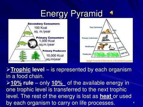 The Level With The Most Energy Is The ________ Level.