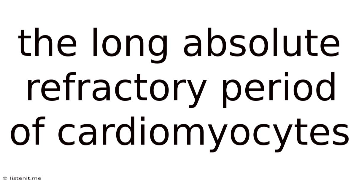 The Long Absolute Refractory Period Of Cardiomyocytes