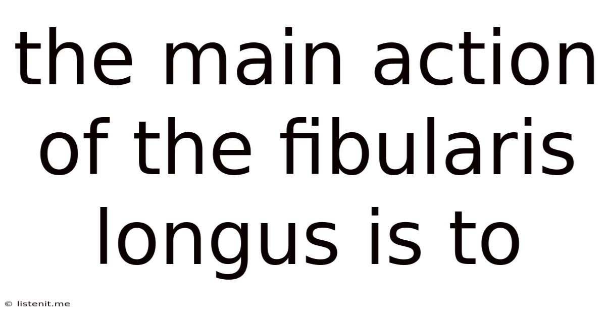 The Main Action Of The Fibularis Longus Is To