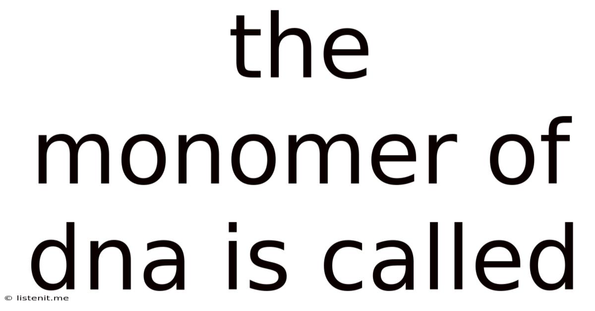 The Monomer Of Dna Is Called