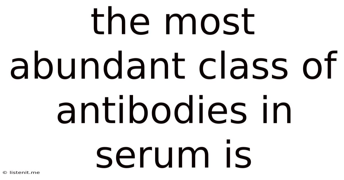 The Most Abundant Class Of Antibodies In Serum Is