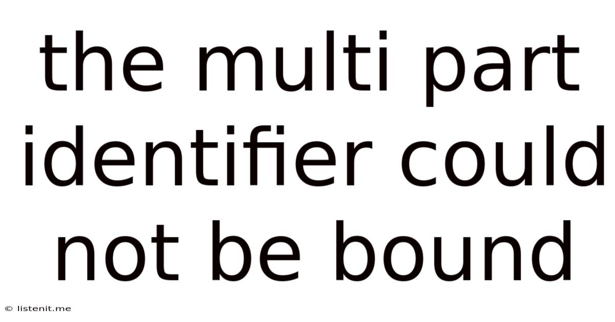 The Multi Part Identifier Could Not Be Bound