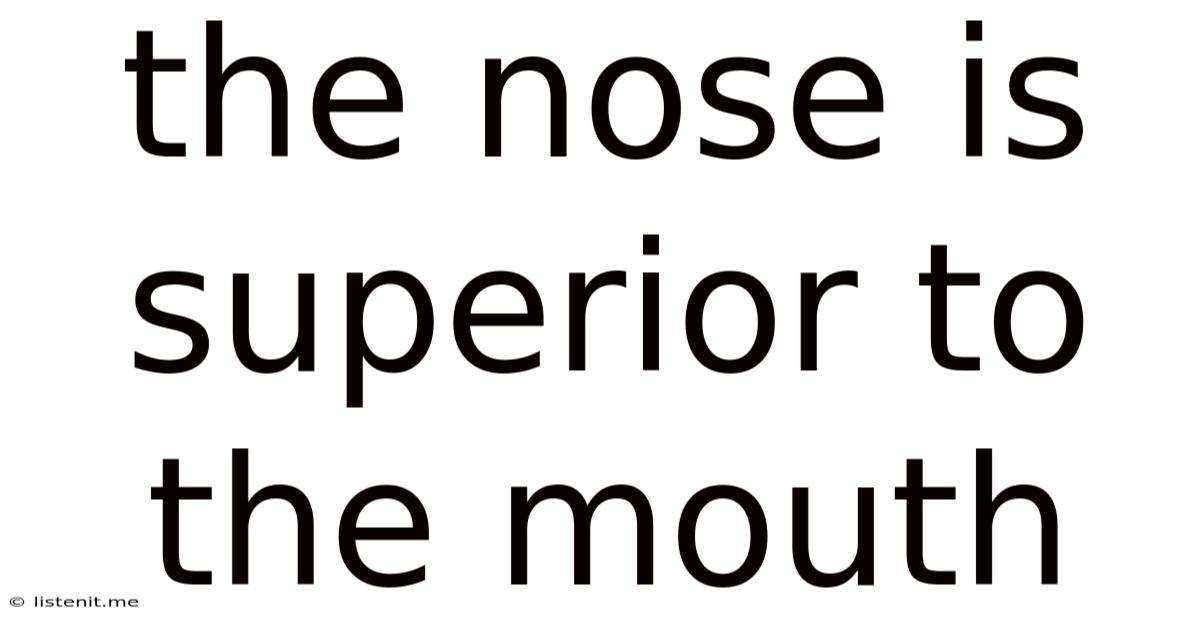 The Nose Is Superior To The Mouth
