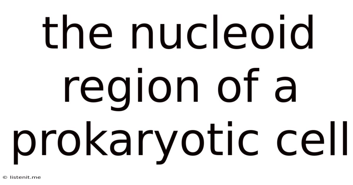 The Nucleoid Region Of A Prokaryotic Cell