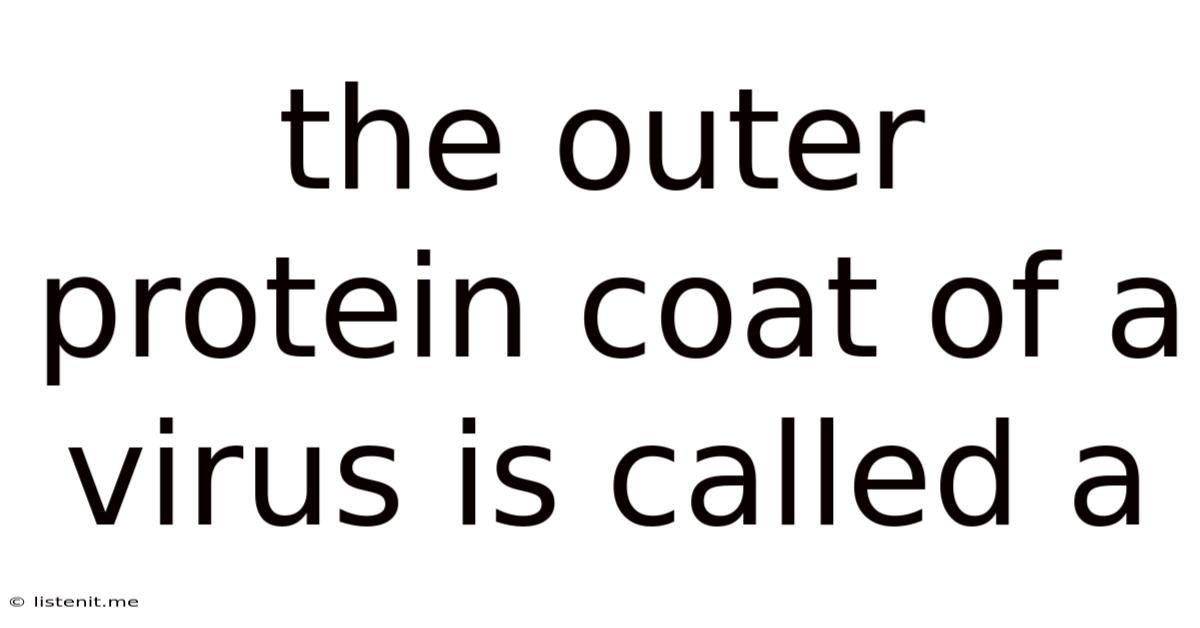 The Outer Protein Coat Of A Virus Is Called A
