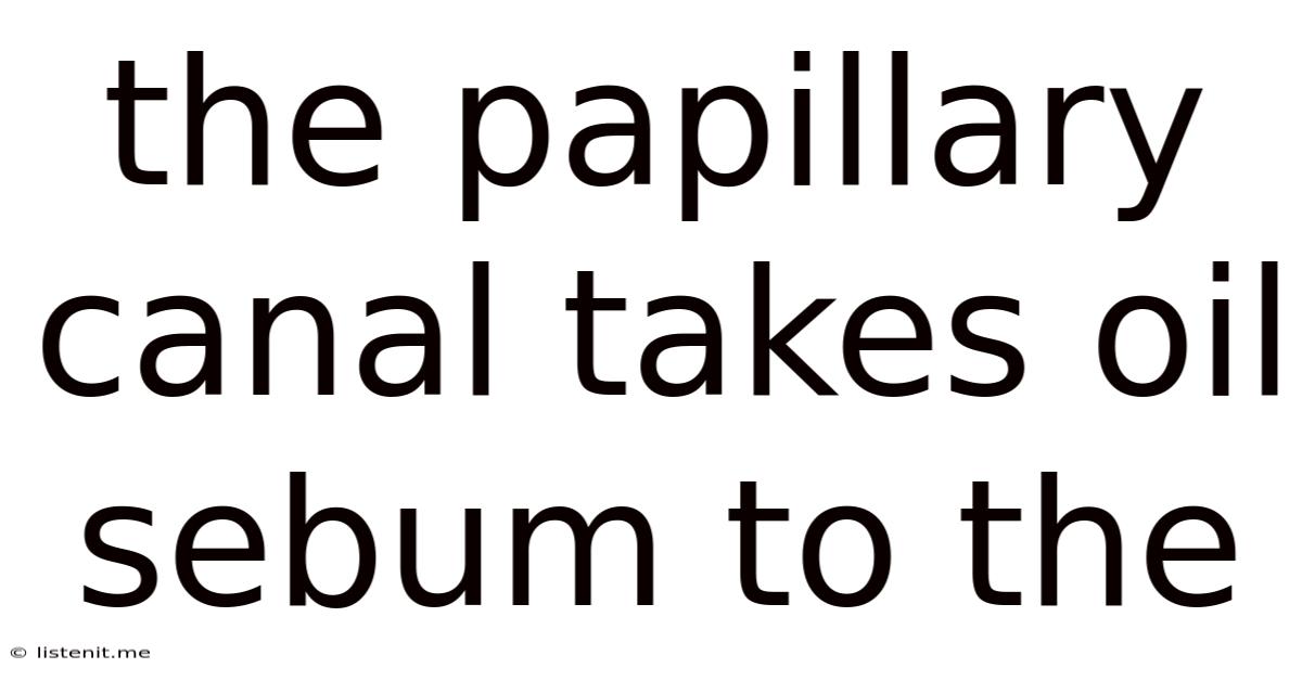 The Papillary Canal Takes Oil Sebum To The