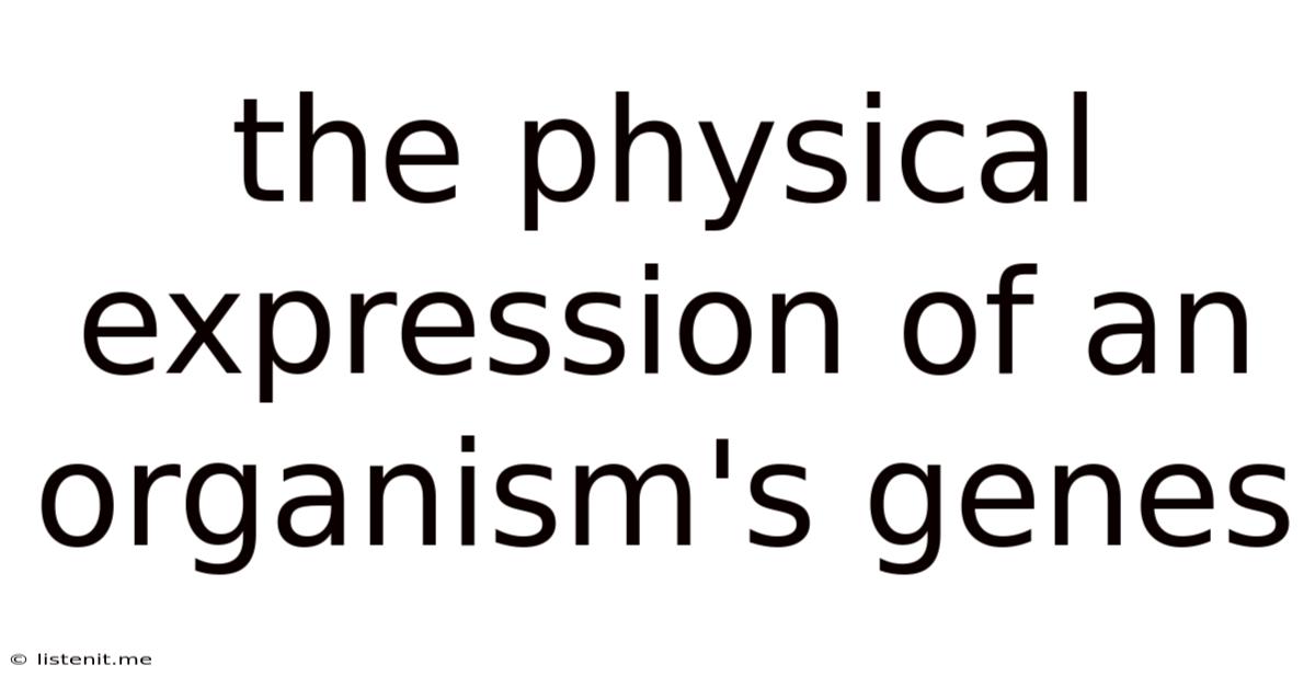 The Physical Expression Of An Organism's Genes