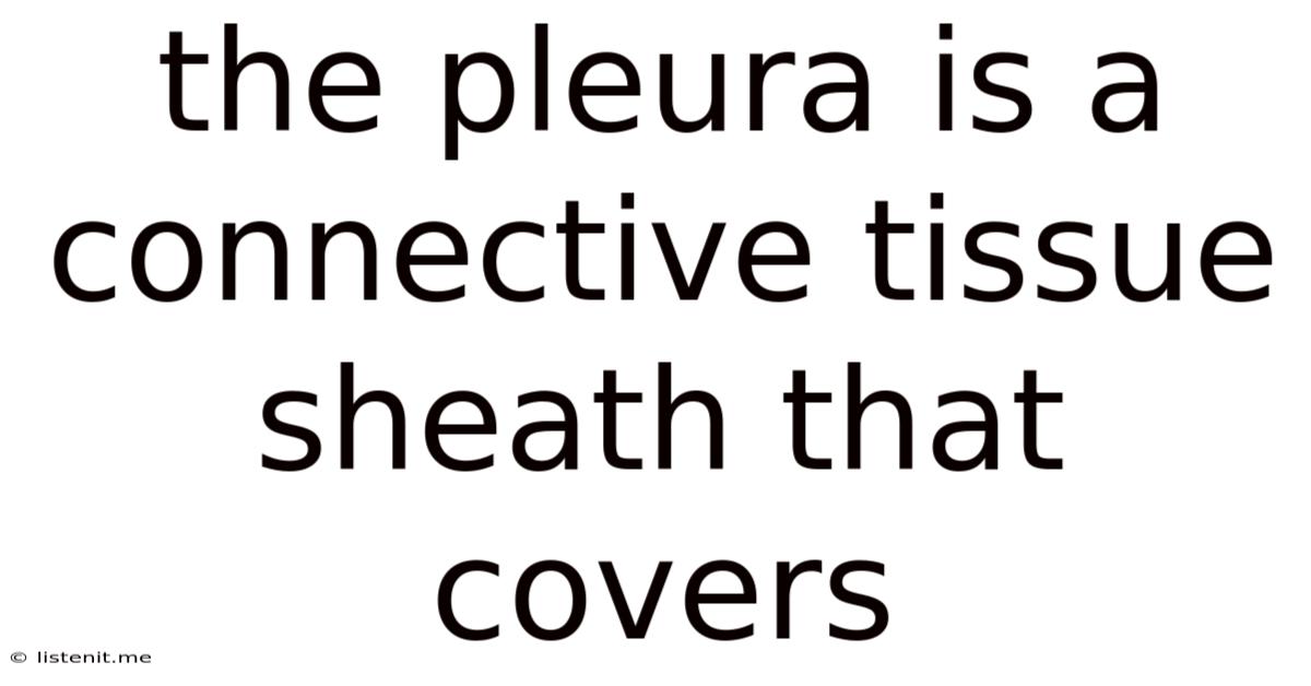 The Pleura Is A Connective Tissue Sheath That Covers