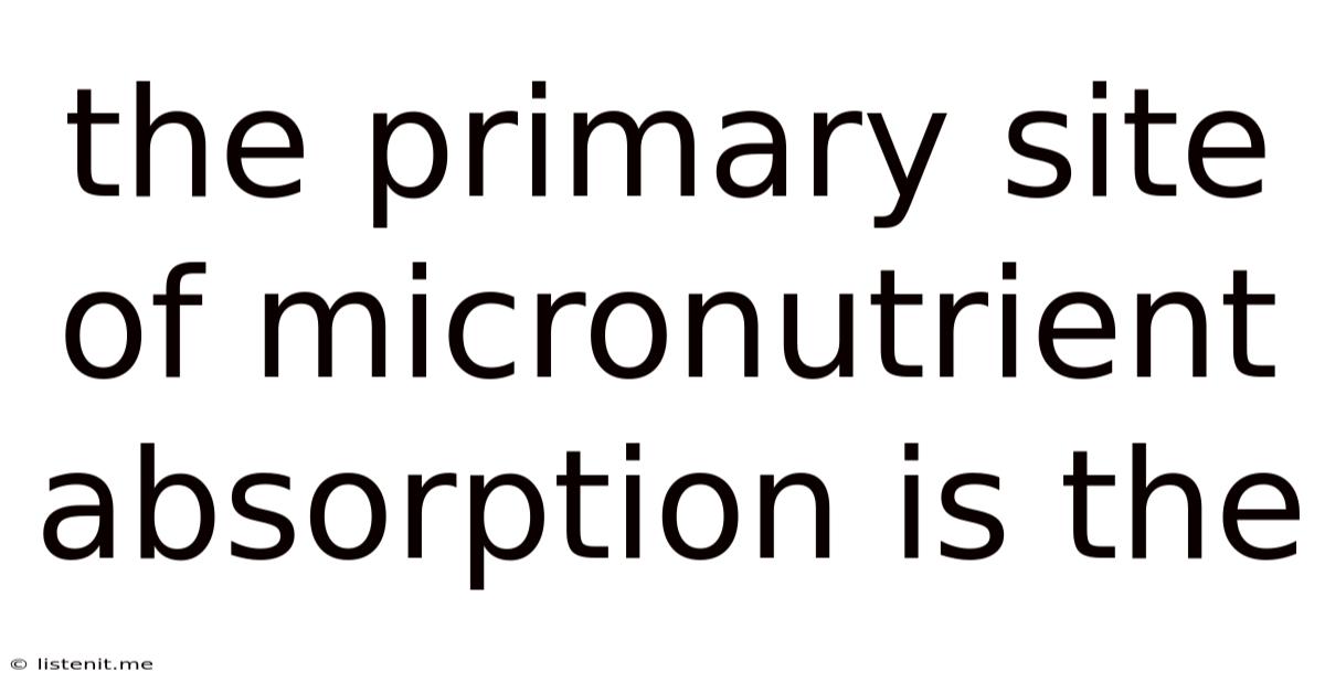 The Primary Site Of Micronutrient Absorption Is The