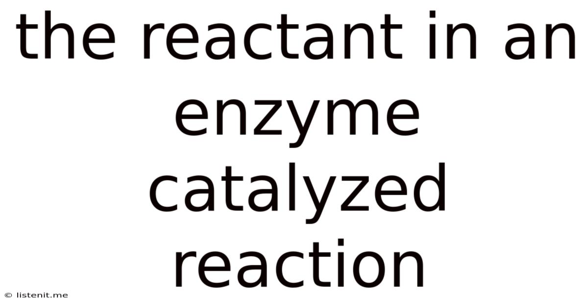 The Reactant In An Enzyme Catalyzed Reaction
