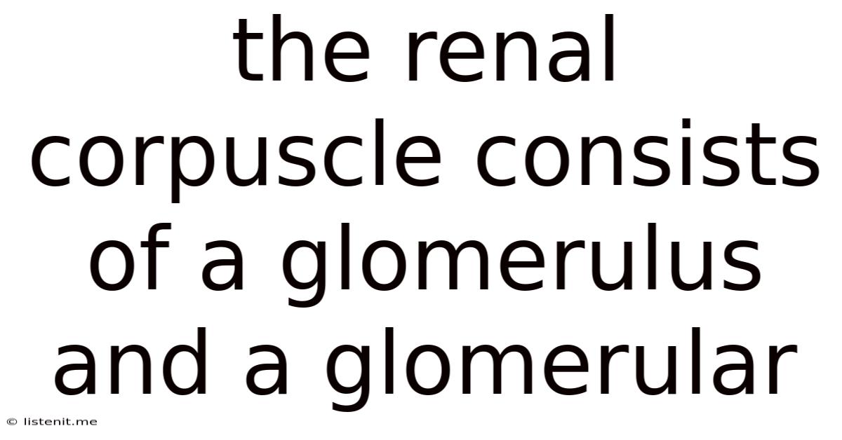 The Renal Corpuscle Consists Of A Glomerulus And A Glomerular