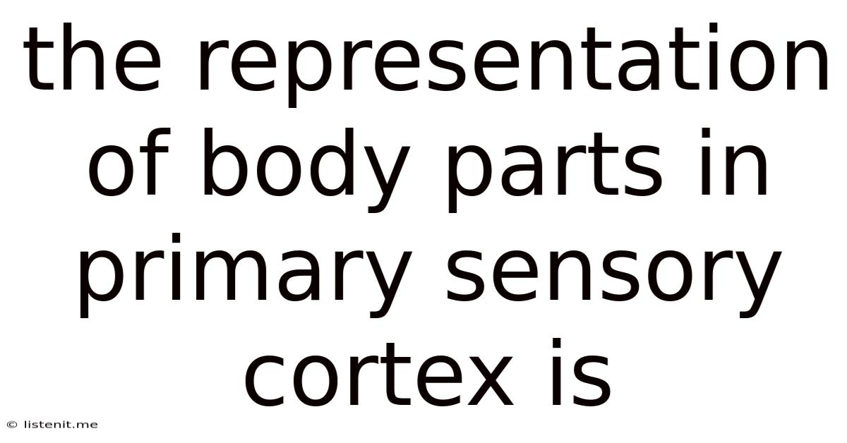 The Representation Of Body Parts In Primary Sensory Cortex Is