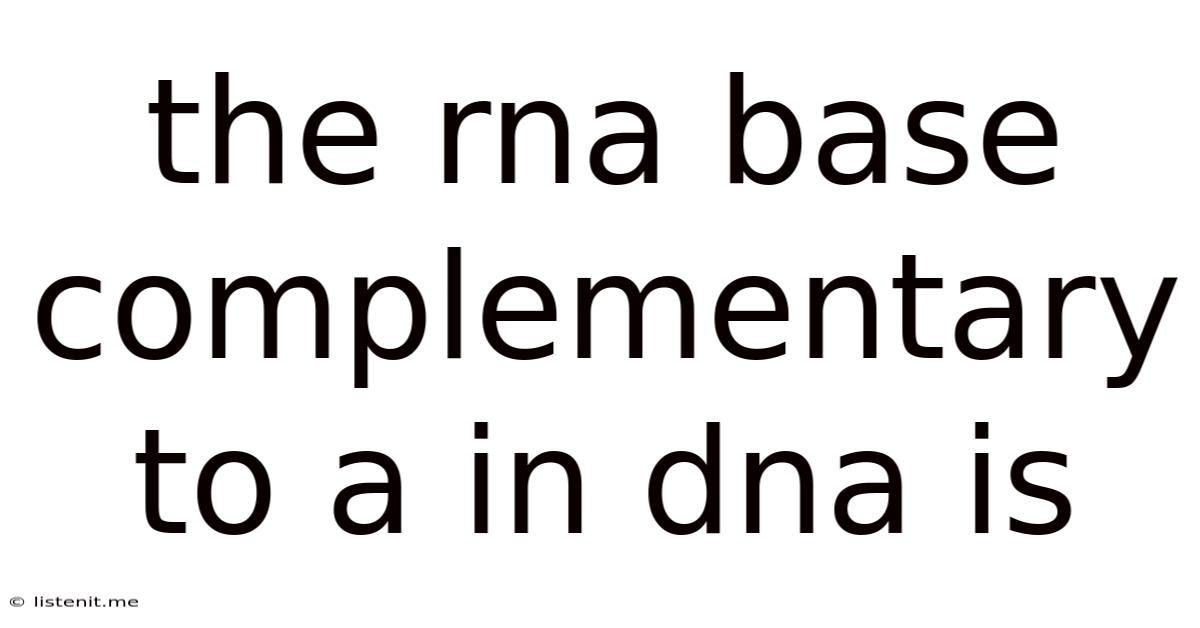 The Rna Base Complementary To A In Dna Is