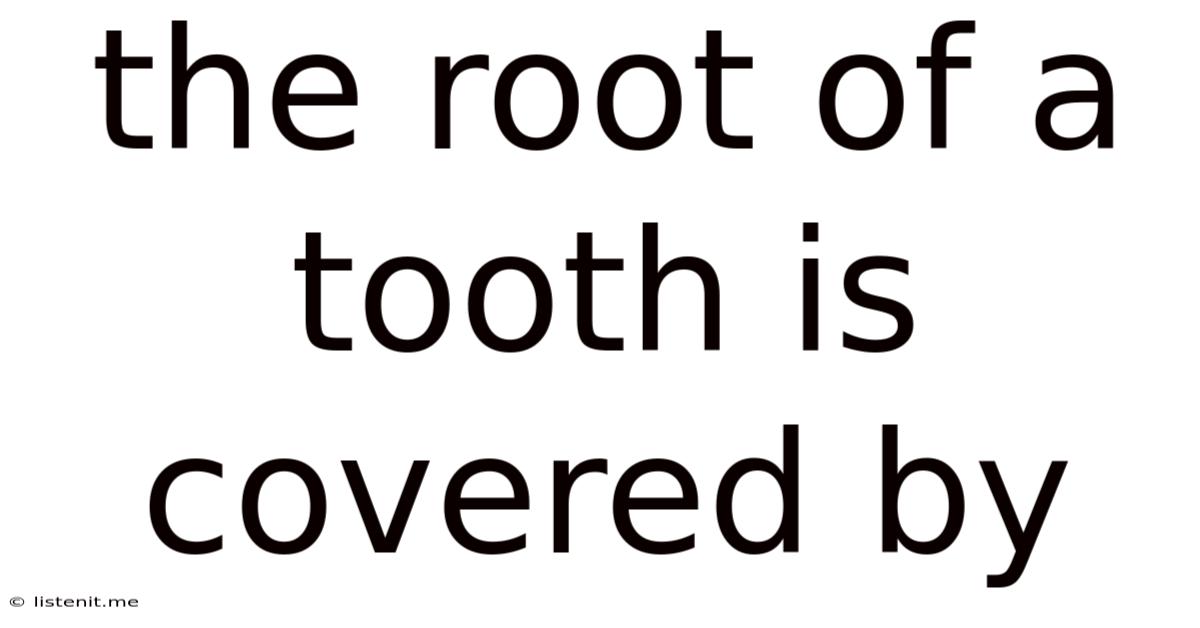 The Root Of A Tooth Is Covered By
