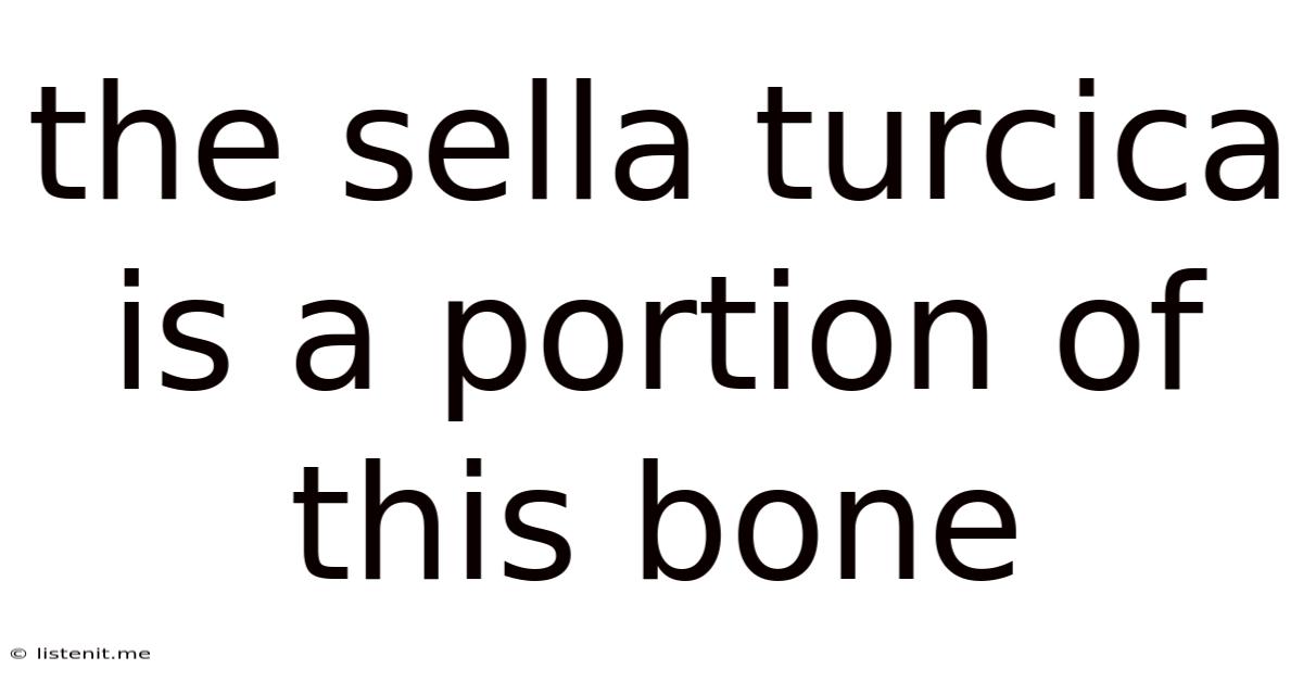The Sella Turcica Is A Portion Of This Bone