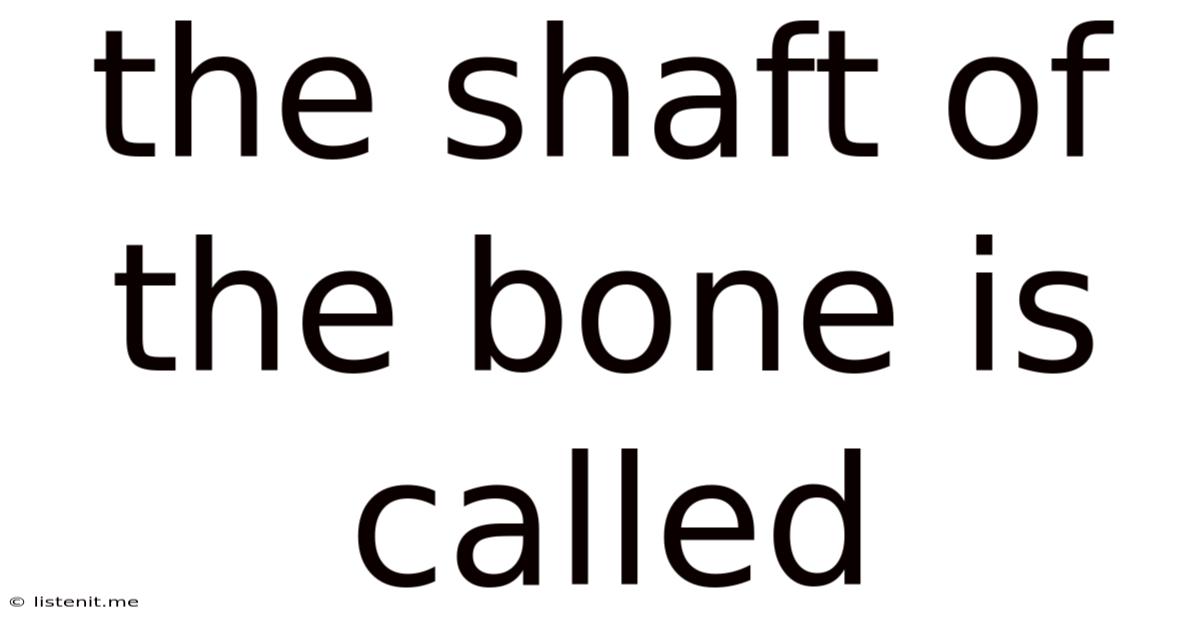 The Shaft Of The Bone Is Called
