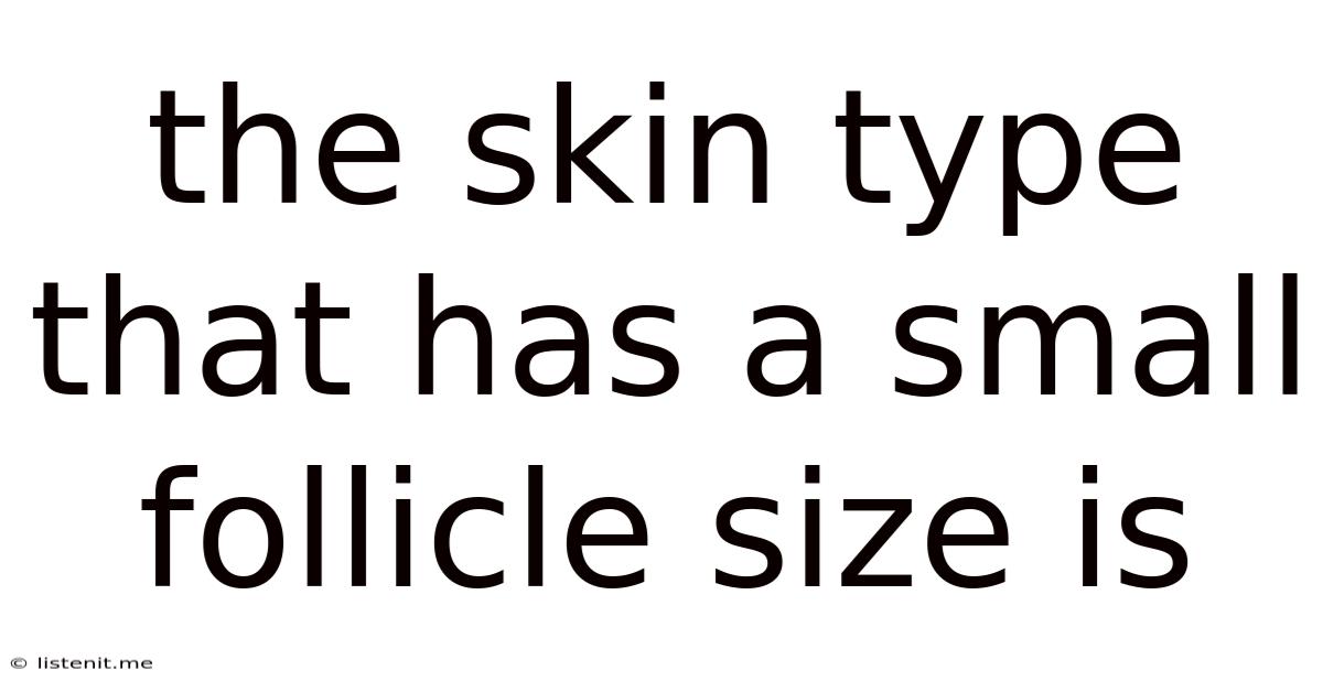 The Skin Type That Has A Small Follicle Size Is