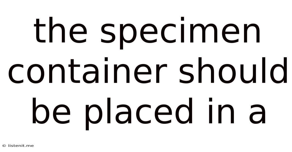 The Specimen Container Should Be Placed In A