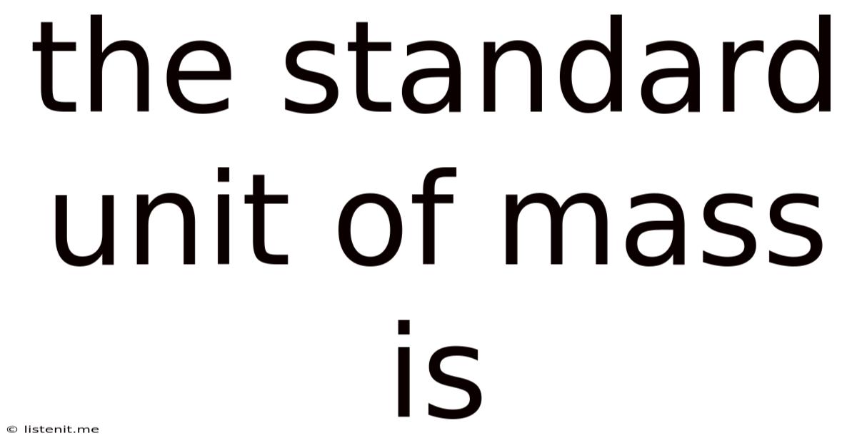 The Standard Unit Of Mass Is