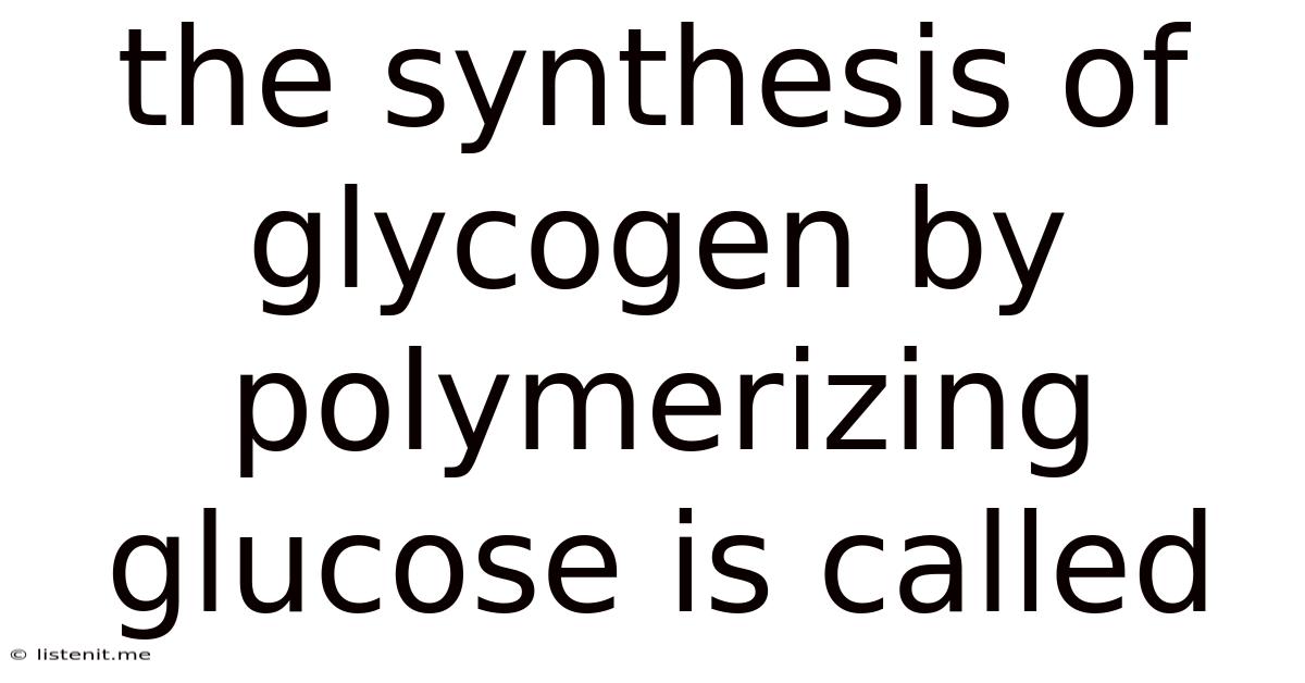 The Synthesis Of Glycogen By Polymerizing Glucose Is Called