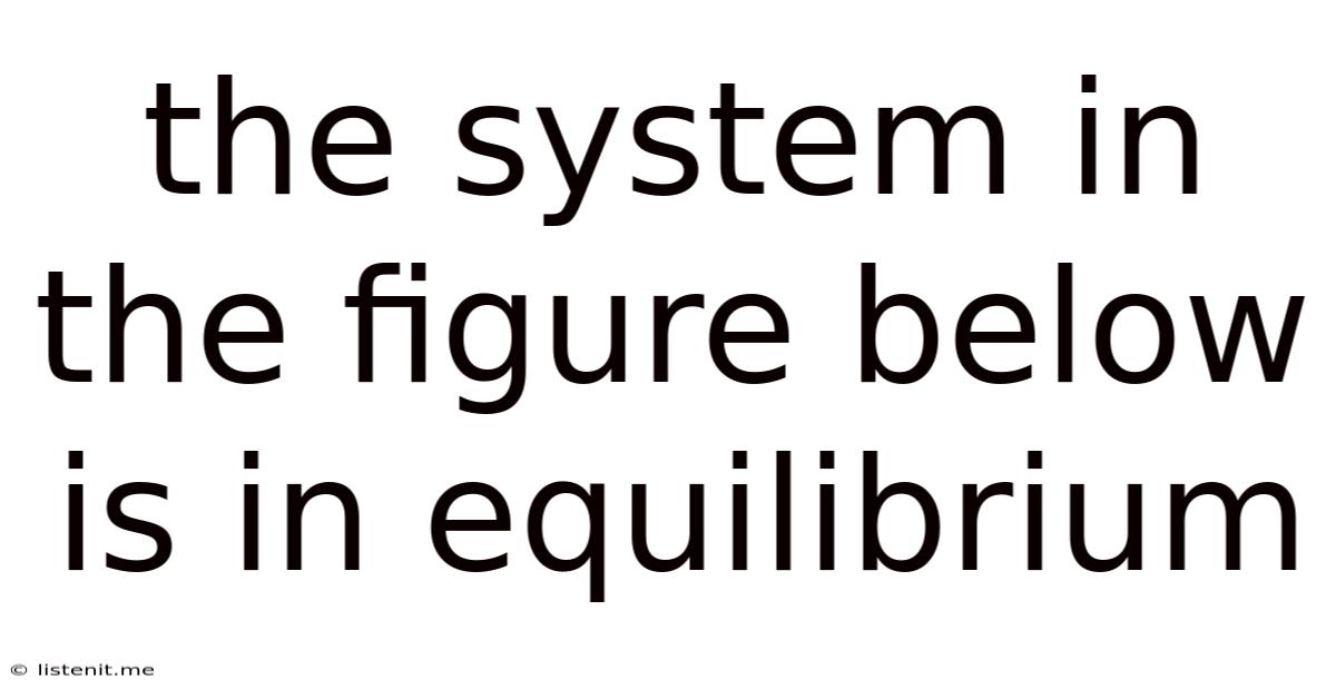 The System In The Figure Below Is In Equilibrium