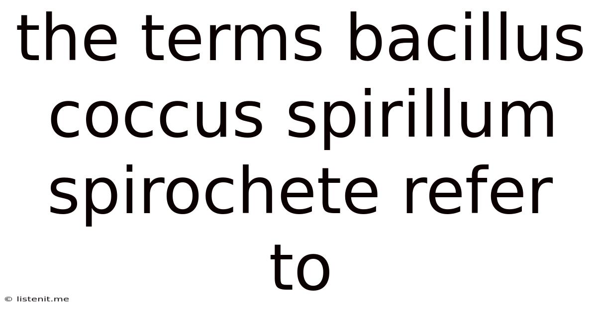 The Terms Bacillus Coccus Spirillum Spirochete Refer To