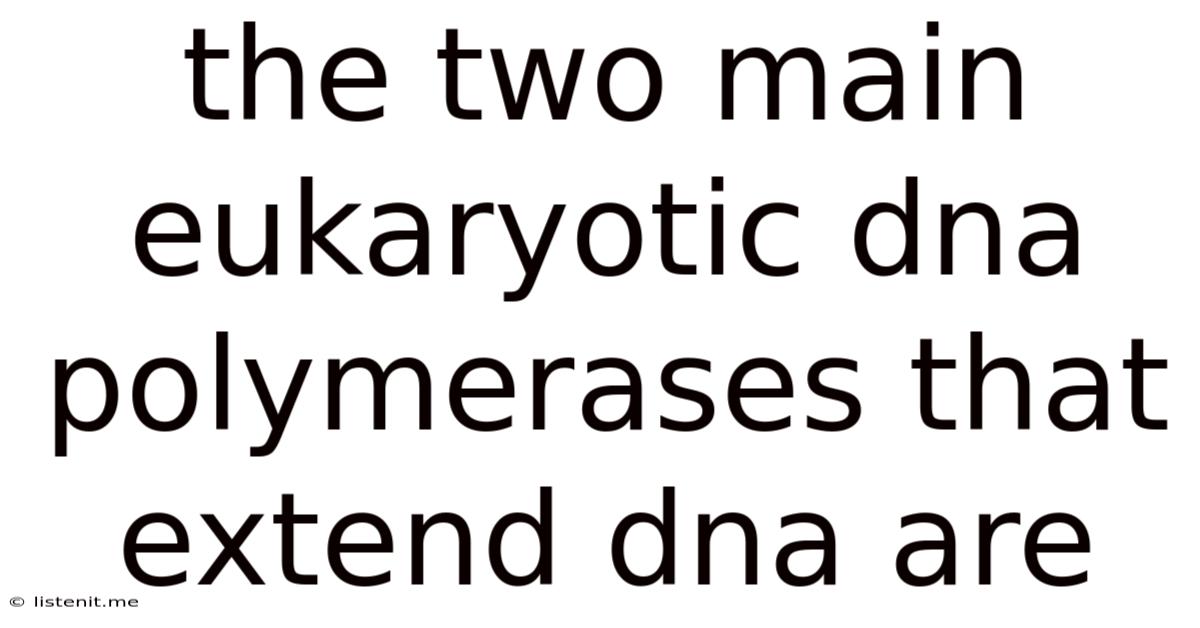 The Two Main Eukaryotic Dna Polymerases That Extend Dna Are