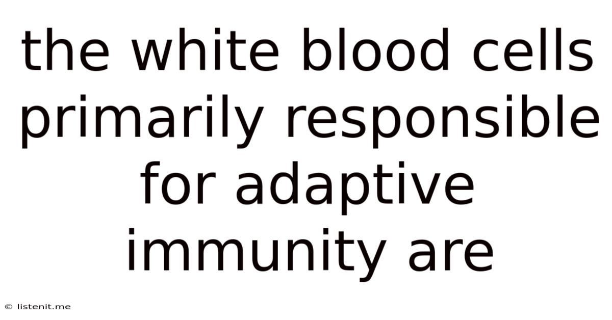 The White Blood Cells Primarily Responsible For Adaptive Immunity Are