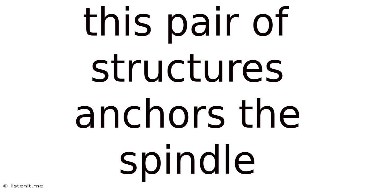 This Pair Of Structures Anchors The Spindle