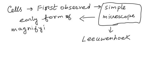 Through Which Microscope Were Cells First Observed